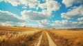 Truck driving dirt road wheat field blue sky Royalty Free Stock Photo