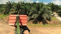 Truck Lifting A Palm Oil Fruit Container - Back Angle