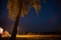 Truck light trails on highway. Art image . Long exposure photo taken on a highway