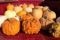 Truck Load of Various Pumpkins and Fall Squash