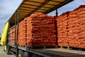 Truck Loaded With Packages of Fresh Onion in Mesh Bags for Distribution To Market Royalty Free Stock Photo