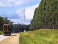 Truck loaded with wooden logs travels along a road flanked by an eucalyptus Royalty Free Stock Photo