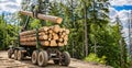 Truck loading wood in the forest. Loading logs onto a logging truck. Portable crane on a logging truck. Forestry Royalty Free Stock Photo