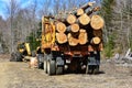 Truck with logs and log skidder Royalty Free Stock Photo