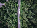 Truck passing on road trough a forest