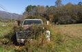 Truck Returning to Nature