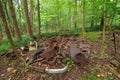 Truck Ruins or a homestead