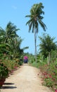 A truck running on rural road with many flowers in Vinh Long, Vietnam