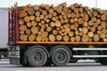 A truck semi-trailer filled with felled tree trunks. Timber transport