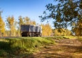 A truck with a semi-trailer transports bulk cargo grain in a special semi-trailer in autumn. Cargo transportation on