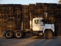 Truck: side view with stacked pallets - close