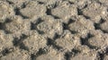 Truck or tractor tire pattern in the dirt. Royalty Free Stock Photo