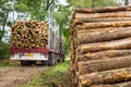 Truck and trailer loaded with pine tree trunks Royalty Free Stock Photo