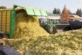 Harvesting of silage Royalty Free Stock Photo