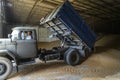 Truck unloads the wheat grains inside the storage of a farm in a village in the Kyiv region, Ukraine August 10, 2023