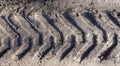 Truck wheel tracks on dryed mud
