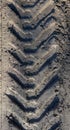 Truck wheel tracks on dryed mud