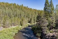 Truckee River Bends through California Wilderness