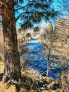 Nevada River in the Spring