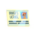 Trucker Driving License Truck Driver Job Related Item Royalty Free Stock Photo