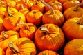 A Truckload of Ripe Pumpkins