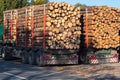 Trucks loaded with tree trunks along the roadside in front of a