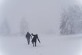 Trudge through deep snow in foggy winter landscape