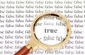 True and false Royalty Free Stock Photo