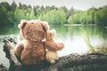 True friends, bunny and teddy bear are sitting side by side at lake, dreaming and remembering. Look forward. Back view Royalty Free Stock Photo