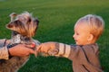 True friendship. Best friends forever. Happy childhood. Sweet childhood memories. Child play with yorkshire terrier dog