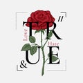 True Love and Hate Abstract Vector Print Design. Rose Drawing with Retro Poster Typography. Rock Girl T-shirt Vintage