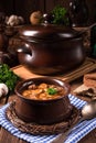 True North German mock turtle soup with mushrooms Royalty Free Stock Photo