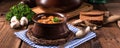 True North German mock turtle soup with mushrooms Royalty Free Stock Photo