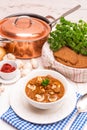 True North German mock turtle soup with mushrooms Royalty Free Stock Photo