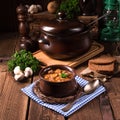 True North German mock turtle soup with mushrooms Royalty Free Stock Photo