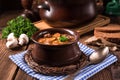 True North German mock turtle soup with mushrooms Royalty Free Stock Photo