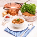 True North German mock turtle soup with mushrooms Royalty Free Stock Photo