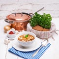 True North German mock turtle soup with mushrooms Royalty Free Stock Photo