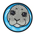 True seal or earless spotted seal