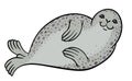 True seal or earless spotted seal