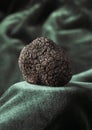 TRUFFE NOIRE tuber melanosporum Royalty Free Stock Photo