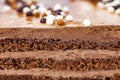 Truffle cake puff pastry parallelepiped shape, selective focus Royalty Free Stock Photo