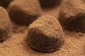 Truffle chocolate candies on cocoa powder. Gourmet food, delicious dessert. Royalty Free Stock Photo