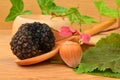 Truffle and hazelnut Royalty Free Stock Photo