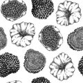 Truffle seamless pattern. Edible mushroom background. Forest fungus sketch. Fungal protein, mycoprotein source. Healthy food and Royalty Free Stock Photo