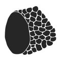 Truffle vector icon.Black vector icon isolated on white background truffle.