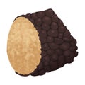 Truffle vector icon.Cartoon vector icon isolated on white background truffle.