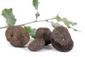 Truffles Royalty Free Stock Photo