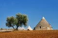 Trulli Royalty Free Stock Photo