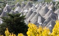 Trulli in Alberobello, Italy Royalty Free Stock Photo